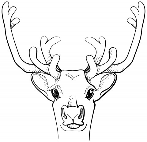 Black and white line art sketch of a deer from a game of exquisite corpse.