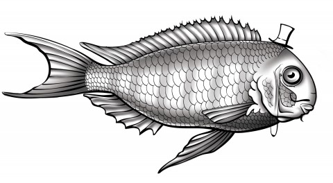 One fish, fully rendered grayscale. A top hat and monacle have been added.