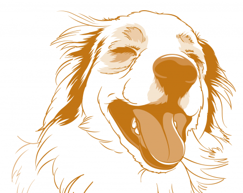 Portrait of a happy dog in orange. Line drawing.