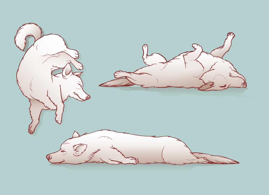 3 color and line work illustrations of a tired dog in various poses 