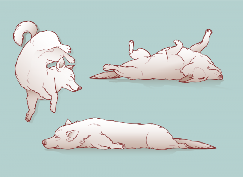 3 color and line work illustrations of a tired dog in various poses