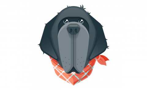 Illustration of a dog face. Nefoundland dog features. Dark color. Very exaggerated long face and features. Character. Bright orange bandana.