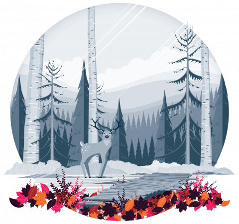 Monotone blue gray forest illustration during fall/winter. Deer and Bridge in the background among pine and birch trees. A pile of orange, red, and purple leaves frames the foreground.
