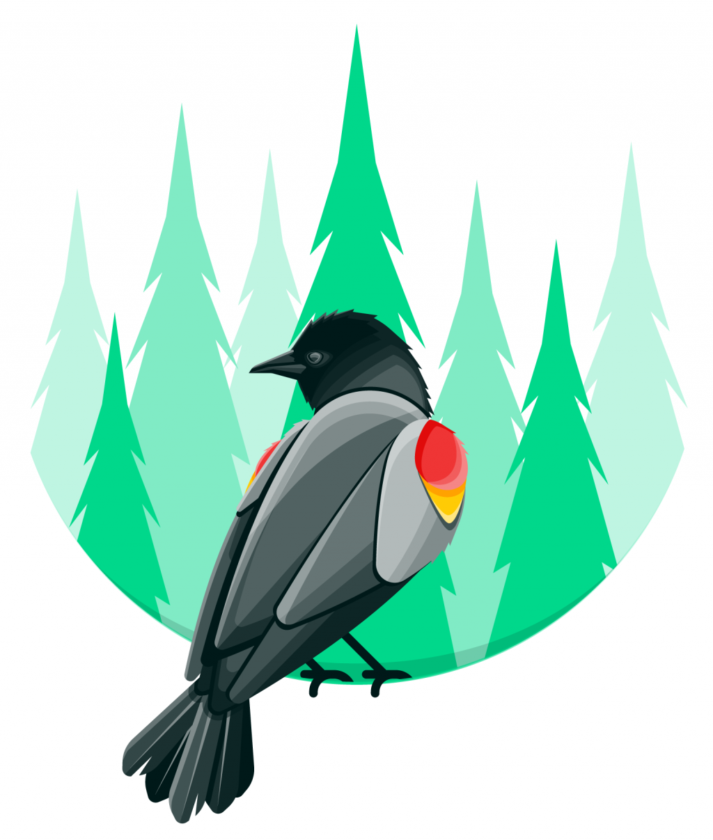 Stylized color illustration of a red winged blackbird sitting on the edge of a round frame with a green pine forest in the background.
