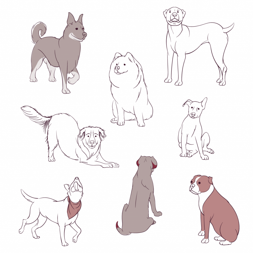 Sketches of dogs. Line art and full color. 