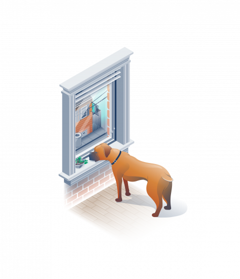 Full color isometric illustration, boxer looking out window.